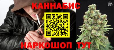 тгк Славгород